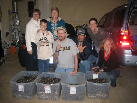 Olive Harvest 2008