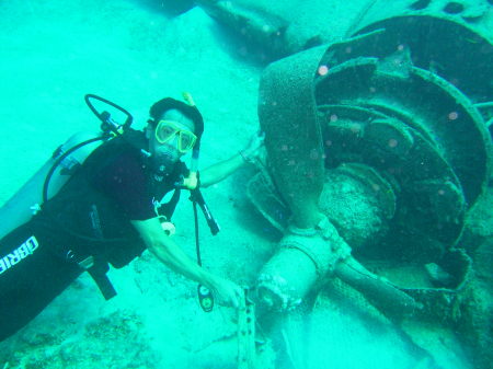 Diving off Nassau Bahamas