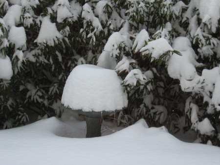 Birdbath Snow 12-2008