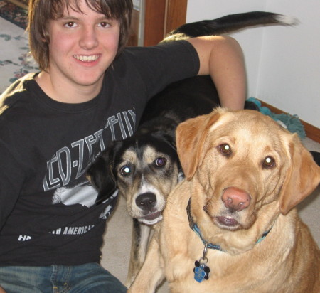 Matt and the dogs