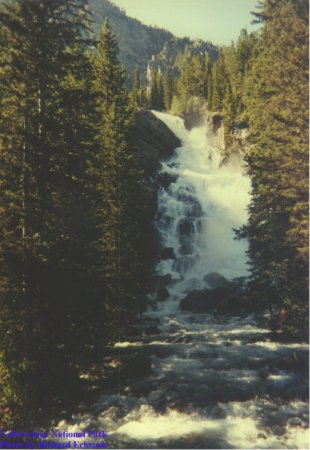 Hidden Falls Yellowstone park