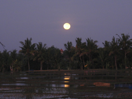 Full moon over rice paddies.