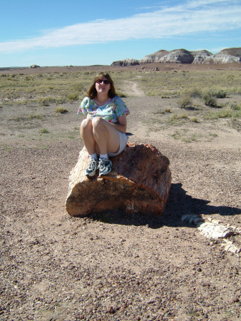 At the Petrified Forest in Arizona