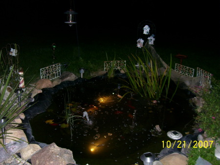 Pond at night