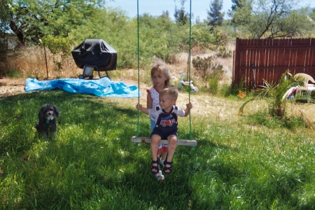 Grand children playing in my back yard