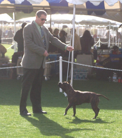 2007 Kennel Club of Palm Springs