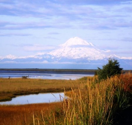 Mt. Redoubt & Kenai River Wetlands