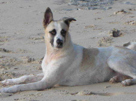 Vera on Beach