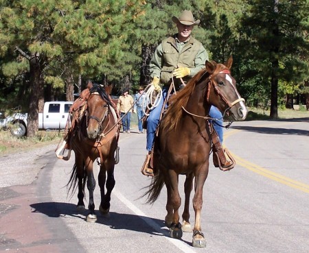 Randy Helm's album, Horses and horse training