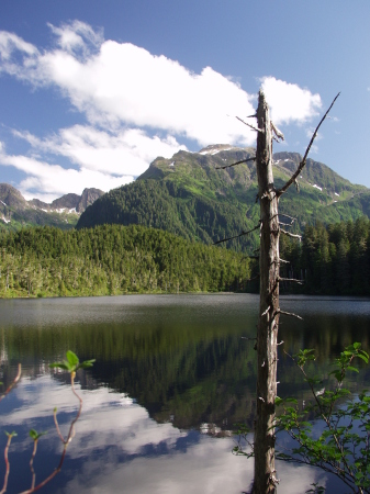 Alaskan Vacation