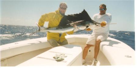 Sailfish