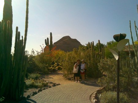 Desert Botanical Gardens