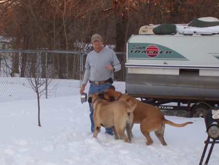 Bo & Sissy (English mastiffs 4 yrs.) with Larry in the yard and snow.