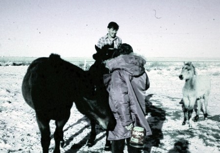 Tim Webb tending horses Winter `1973