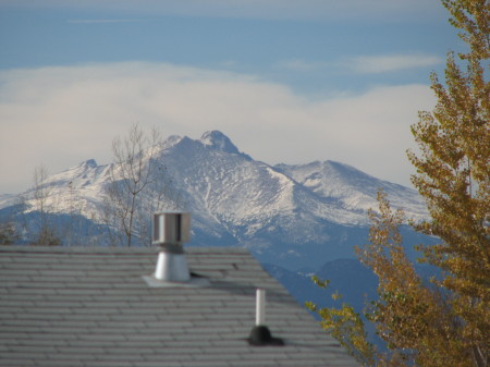 View from the back porch