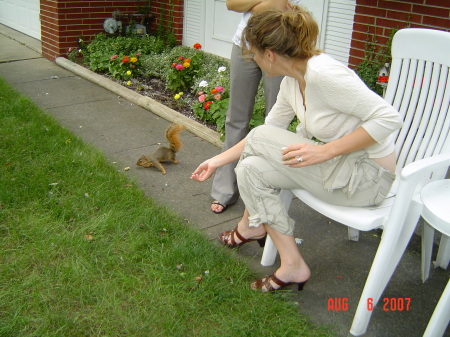 "Charlie" the squirrel