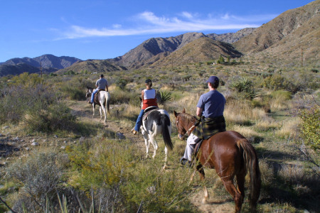 Big Morongo Canyon