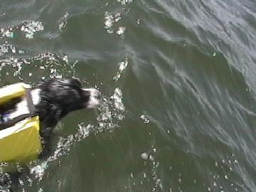 Happy in Lake WA