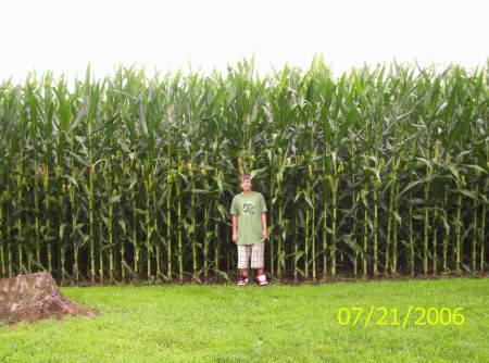 My son Joe next to Iowa corn