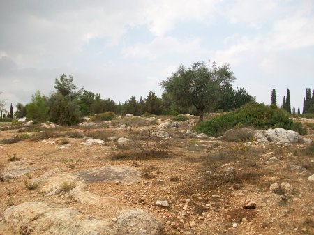 Ben Shemen Forest