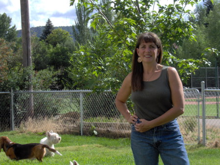 In my backyard 2006