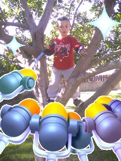 my boy in a tree