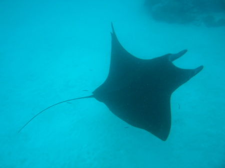 German Channel, Palau