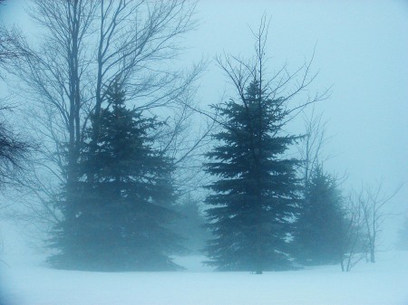 December Fog ...