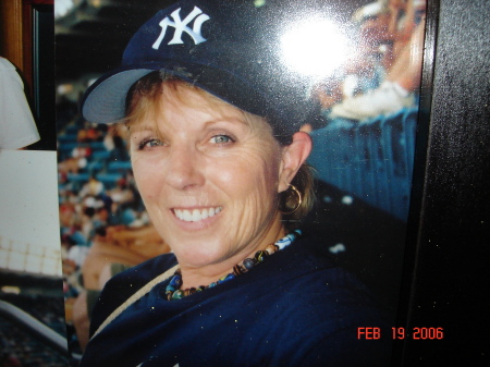 Yankee Fan!