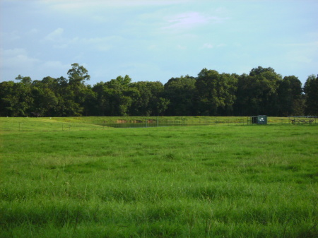 East Texas Green Pastures