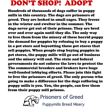 DON'T SHOP = ADOPT A PET