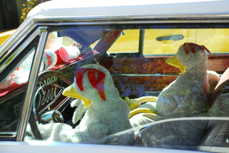 Foster Farms Chickens Up Close