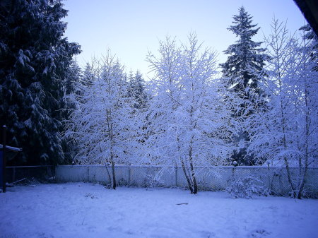 Our back yard, Winter '06-'07
