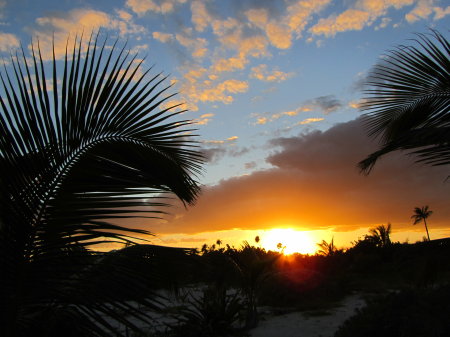 Mayan Beach Garden