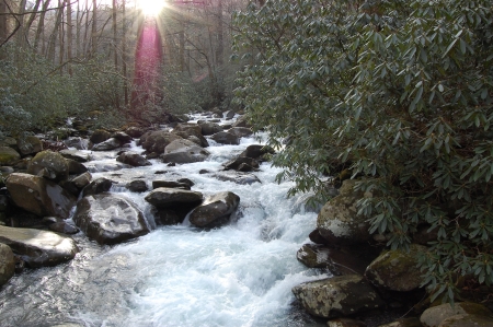 Gatlinburg 2008