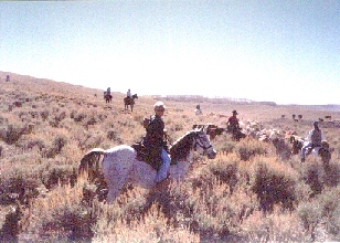 Utah Cattle Drive, '2001