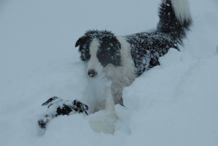 Tess and Mya, 2009