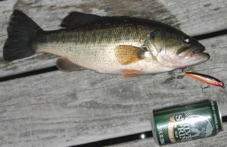 First Lunker of 2007, largemouth bass.