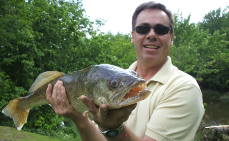 Walleye from shore