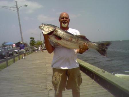 32 pound striper Bass