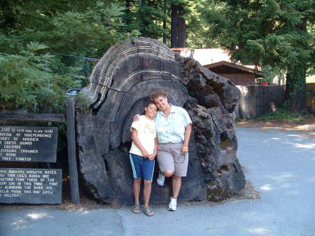 Avenue of The Giants