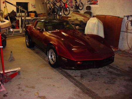 1981 CORVETTE