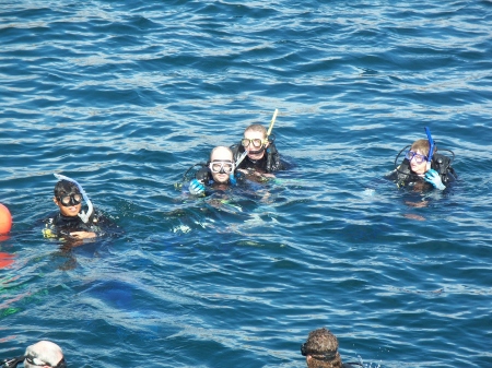 Diving in Puerto Vallarta 2008