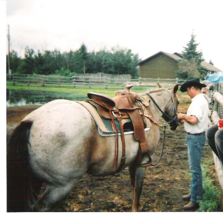 Fred saddling 'Meg'