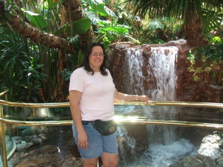 Taken at the Golden Nugget in Laughlin, Nevada  (8-07)