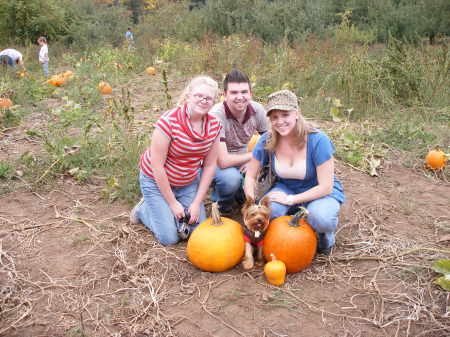 Pumpkin Patch