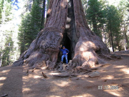 Sequoyah Nat'l Pk