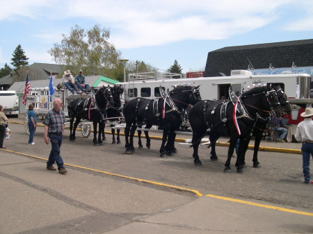 Horse Expo '07