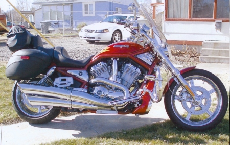 Harley V-Rod (New in 2005)