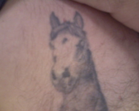 Horse Tattoo...